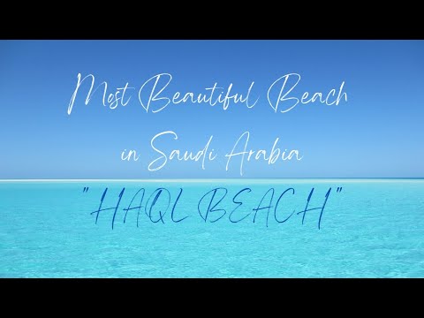 Back to the most beautiful beach in Saudi Arabia | Haql Beach | Visit Visa Extension