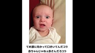 【bokete】殿堂入り間違いなし?犬!イヌ!いぬ!でまとめ爆笑！腹筋崩壊！暇つぶしにおもしろ癒しのボケて傑作選！【吹いたら負け】