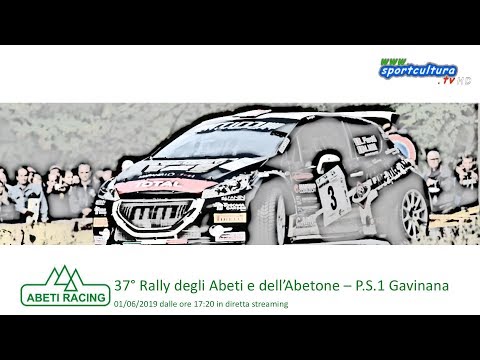 37° Rally degli Abeti e dell'Abetone 2019 - S.P.S.1 Gavinana
