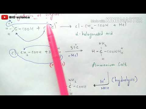 Beta oxidation of Fatty acids Energetics By phanindra