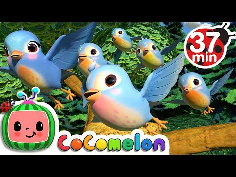 Five Little Birds 3 + More Nursery Rhymes & Kids Songs - CoComelon