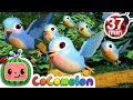 Five Little Birds 3 More Nursery Rhymes Kids Songs CoComelon