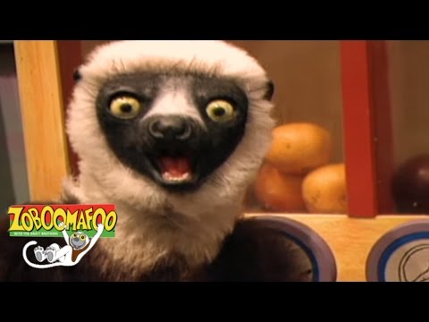 🐒 Zoboomafoo🐒 Season 1 Episode 36 - Hail To Tails | HD Full Episode HD