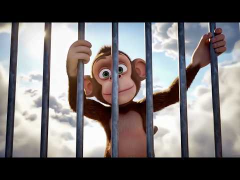 D'Intriga – Iza rešetaka Official video