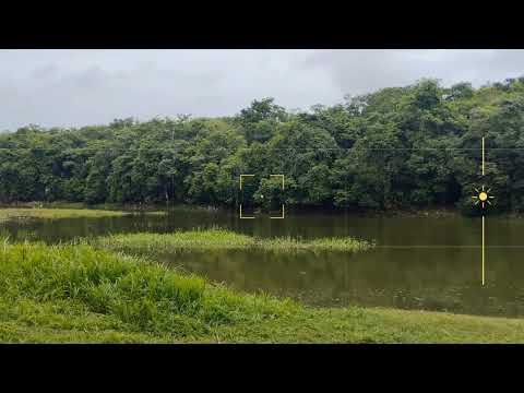 Lote ubicado en Salmanca, Provincia de  Colon