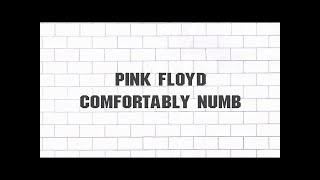 Comfortably Numb Pink Floyd guitar tabs (w/lyrics)