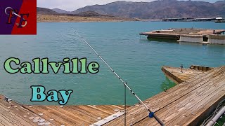 Fishing some docks at Callville Bay