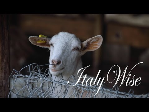 La Porta dei Parchi - An Organic Farm In Abruzzo