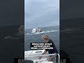 Breaching Whale Capsizes Boat Sends 2 Overboard Off Coast Of New Hampshire