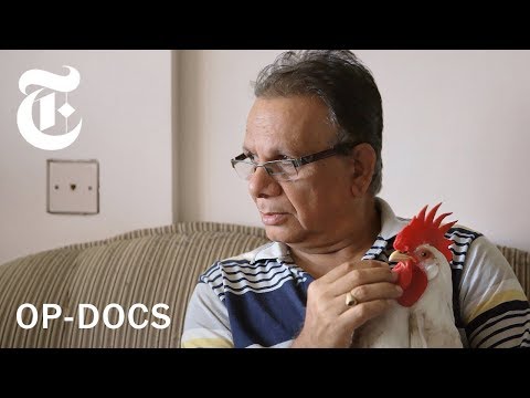 Tungrus and the Chicken from Hell