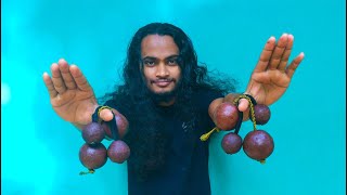 Download lagu made kosh kash with rhythm / African Percussion mp3 Download lagu made kosh kash with rhythm / African Percussion mp3