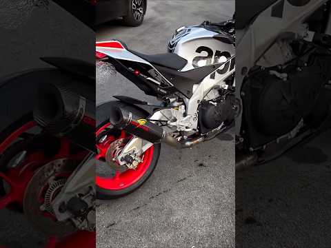 APRILIA TUONO V4 1100 FACTORY '19 GRAVES Exhaust Sound🔥#aprilia #tuonov4 #graves #shorts #2025