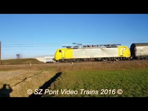 FrecciaBianca a Mortara e molto altro...