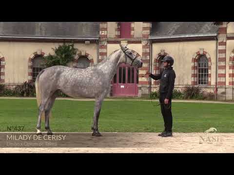 MILADY DE CERISY