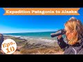 S2 Eps 10 Incredible WILDLIFE In ARGENTINA