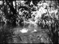 Tarzan And Jane Swimming