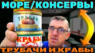 #консервы морские Трубач натура (что уже редкость "в некоторых странах") Краб консервированный тоже натурал и печень Трески - подписчики кормят с Дальнего востока! Мукбанг консервированный морской
Морские консервы Трубач