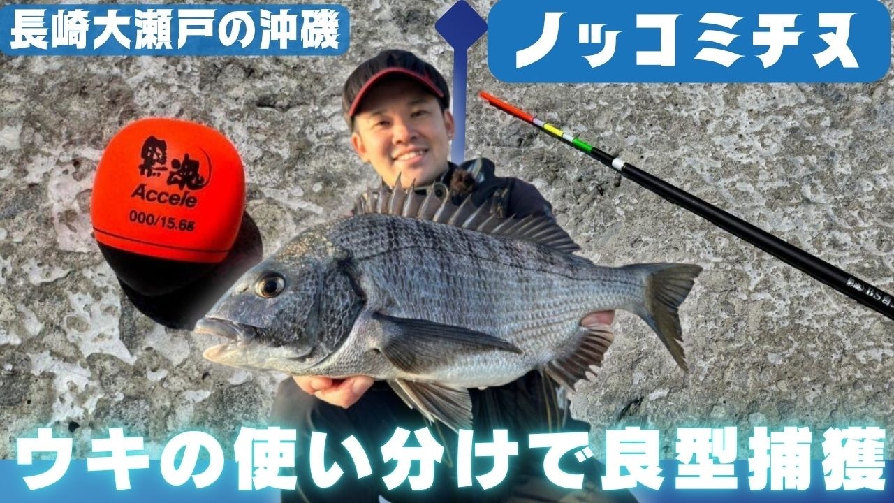 長崎のノッコミチヌ！ウキの使い分けで良型捕獲に大成功‼【釣り時季】