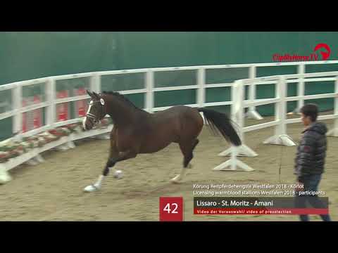 42 Hengst v. Lissaro - St. Moritz - Amani