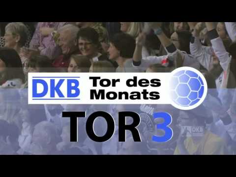 DKB Tor des Monats November: alle Tore im Highlightclip