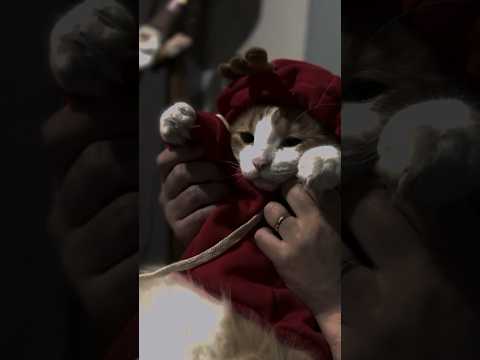 El barrio me respalda 🙃 #parati #humor #fyp