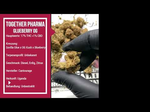 Glueberry OG / Cantourage Together Pharma (Gorilla Glue x OG Kush x Blueberry) / 17% THC