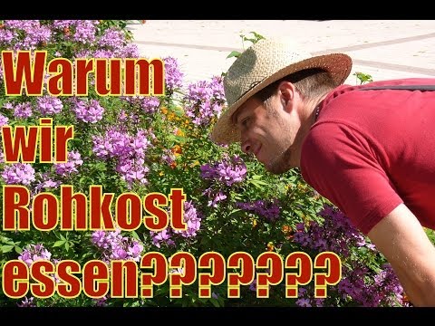 Warum wir Rohkost essen