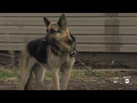 WRTV News at 7 p.m. - November 30, 2020