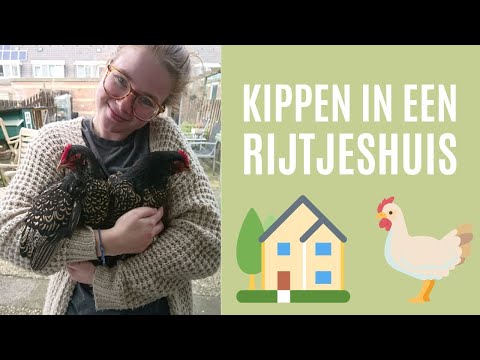 , title : 'KIPPEN Houden in een RIJTJESHUIS | Kippen in een Woonwijk? | Voor en Nadelen.'