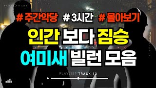 Download lagu [주간악당 3시간 몰아보기] 정상적인 관계로는 만족하지 못하는 막장 변ㅌ들의 엽기 살X  #미스터리 #해외사건 #몰아보기 mp3