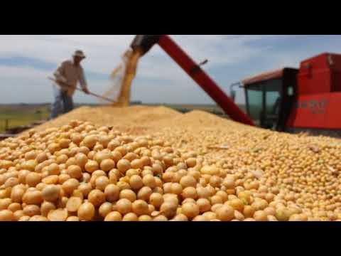 Može bolje ep. 14 13.05.2017. - Gajenje soje bez obrade zemljišta