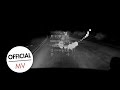 Yoon Jong Shin - Even Vampires Love