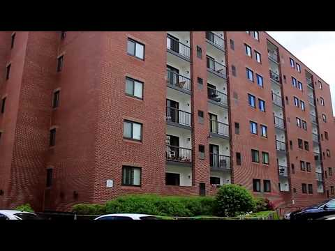 1600 Mass Ave Condos - Cambridge, MA