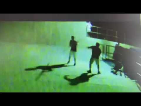 West Springfield malicious damage suspects