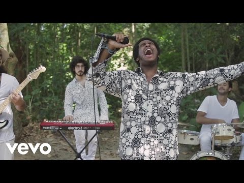 Floresta video