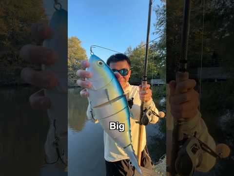 World’s Most REALISTIC But RIDICULOUS Bait EVER…