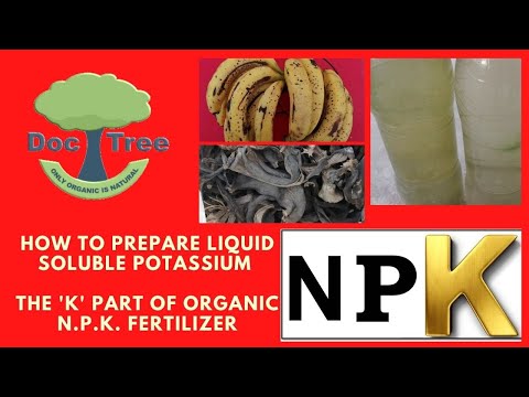 Potassium. In 2 minutes learn how to organically prepare ‘K’ part of NPK Fertilizer for plants.