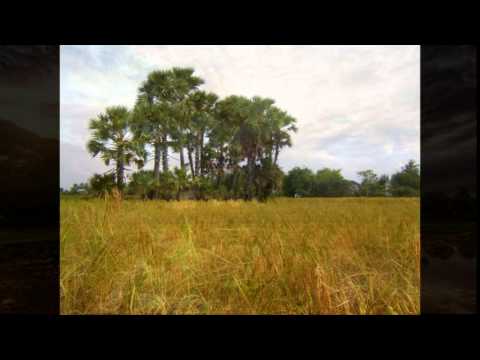 eng nary- Pailen Sobin Sneh - Eng Nary song