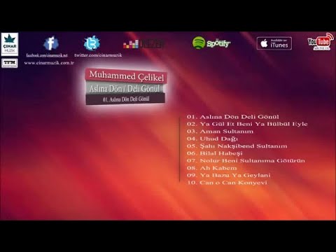 Muhammed Çelikel - Aslına Dön Deli Gönül
