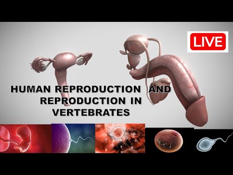 GRADE 12 LIFE SCIENCES :REPRODUCTION FULL TOPIC (REPRODUCTION  VERTERBRATE & HUMAN REPRODUCTION )