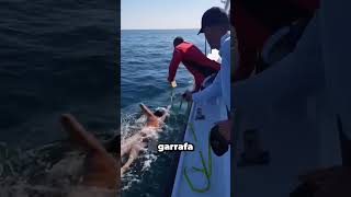 Download lagu Would you do THIS? #curious #amazing #curiosity mp3 Download lagu Would you do THIS? #curious #amazing #curiosity mp3