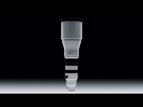 Features - Sigma 300-600mm F4 DG OS | Sports