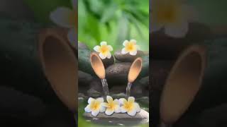 Download lagu SUARA GEMERICIK AIR PENGANTAR TIDUR. ATASI STRESS, PENENANG FIKIRAN. RELAXING SOUND MUSIC mp3