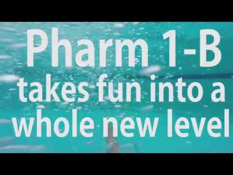 Yolife - Amoxichillin