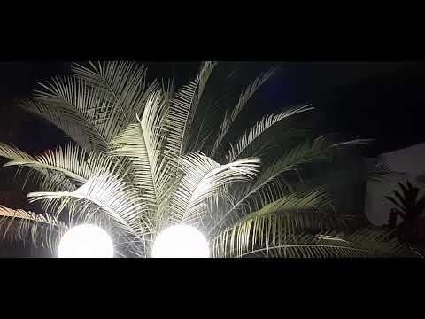 "ABRIGO PERFEITO" - HINO 319 DO CANTOR CRISTÃO