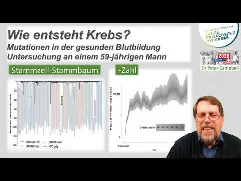Wie entsteht Krebs und welche Bedeutung haben Mutationen und Schädigungen?