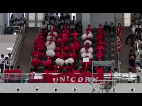 2018—19 SGSS Swimming Gala Cheering Competition - Unicorn House