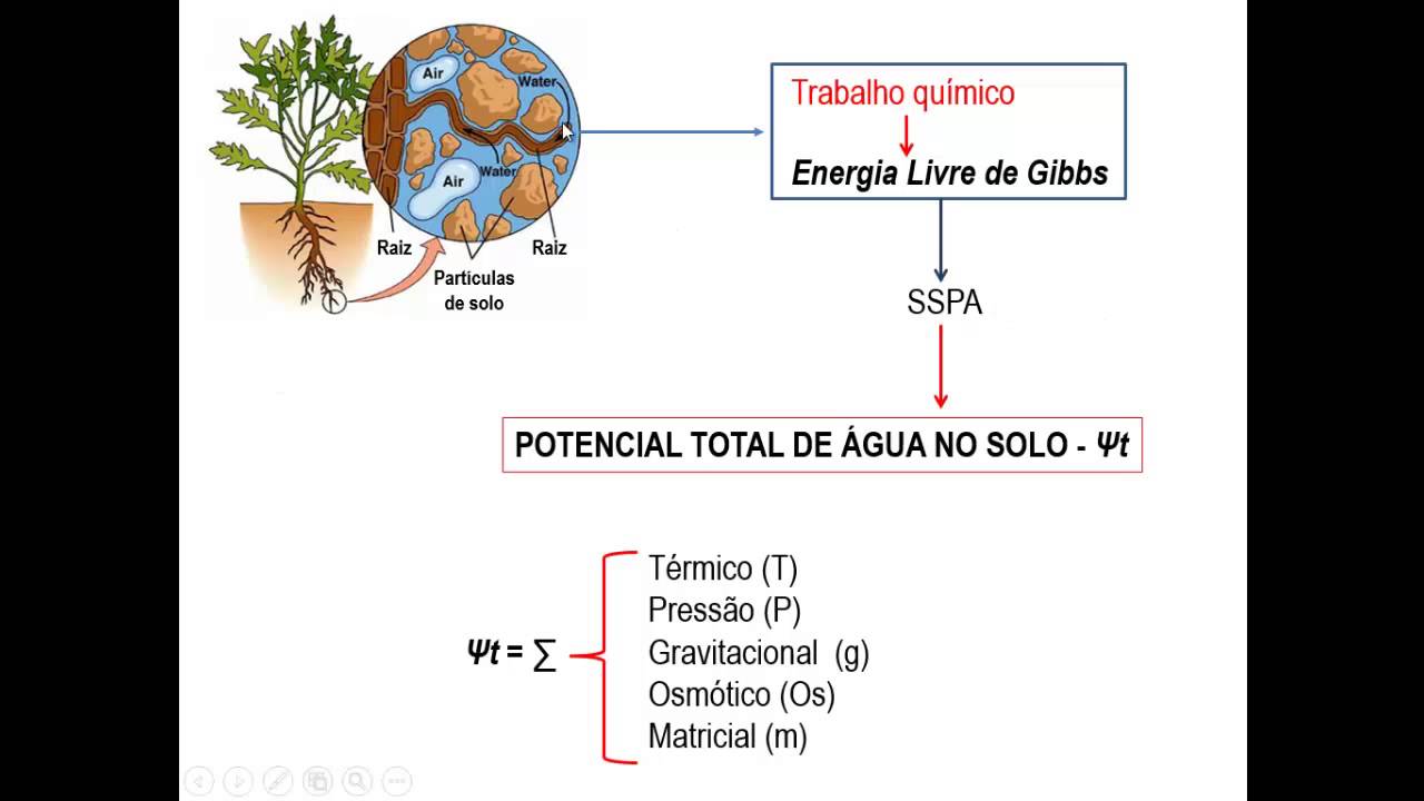 Retenção de água no solo
