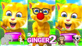 New Episode 😲 Talking Ginger 2 Eating Food | Talking Tom I talking ginger birthday | Funny video |