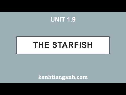 [Unit 1.9] The Starfish - 4000 Essential English Words